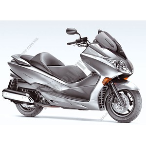 250 FORZA 2007 NSS250X7