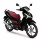 125 WAVE 2024 AFS125CSFR_TH