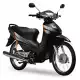 100 WAVE 2009 ANF100DR9
