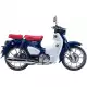 125 CUB 2024 C125AR