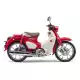 125 CUB 2024 C125AR_J