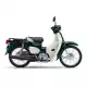 50 C50 2025 C50JS