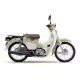 50 C50 2025 C50JS