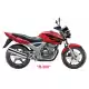 250 CBX 2009 CBX2509