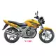 250 CBX 2009 CBX2509