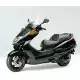 250 FORSIGHT 2005 FES250SE5