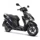 125 ELITE 2023 NSC1255SHP