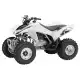 250 FOURTRAX 2008 TRX250EX8
