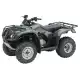 250 FOURTRAX 2011 TRX250TEB