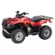 250 FOURTRAX 2011 TRX250TEB