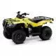 250 FOURTRAX 2021 TRX250TEM