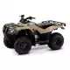 250 FOURTRAX 2021 TRX250TEM