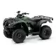 250 FOURTRAX 2019 TRX250TM1K