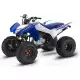 250 FOURTRAX 2021 TRX250X1M