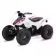 250 FOURTRAX 2021 TRX250X1M