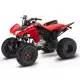 250 FOURTRAX 2021 TRX250X1M