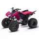 250 FOURTRAX 2021 TRX250X1M