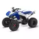 250 FOURTRAX 2022 TRX250X1N