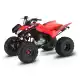 250 FOURTRAX 2022 TRX250X1N