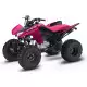 250 FOURTRAX 2022 TRX250X1N