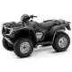 500 FOURTRAX 2006 TRX500FE6