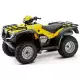 500 FOURTRAX 2006 TRX500FE6