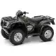 500 FOURTRAX 2006 TRX500FG6