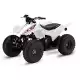 90 FOURTRAX 2019 TRX90XK