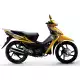 100 other-models 2014 WH100_2_III_2014
