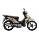 125 other-models 2023 WH125_17B