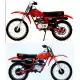 100 XR 1981 XR100B