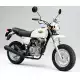 100 APE 2002 XZ1002