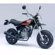 50 APE 2001 XZ501_2J