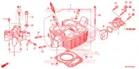 CULASSE pour Honda XR 150 de 2017