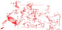RADIATEUR pour Honda VTR 250 PGMFI de 2009