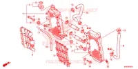 RADIATEUR pour Honda CRF 150 R de 2019