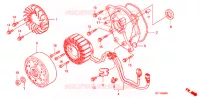 ROTOR   STATOR pour Honda 50 GYRO X STANDARD de 2018