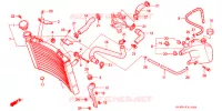 RADIATEUR pour Honda NSR 250 SE RED de 1996