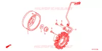 ALTERNATEUR pour Honda CRF 110 de 2020