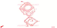 CYLINDRE pour Honda CRF 250 LOWER de 2019