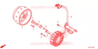 ALTERNATEUR pour Honda CRF 250 LD de 2019