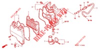 FILTRE A AIR (1) pour Honda WAVE 125 Carburetor, Electric start de 2006