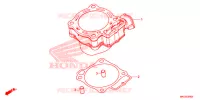 CYLINDRE pour Honda CRF 450 RX ENDURO de 2020