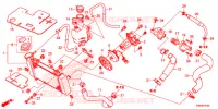 RADIATEUR pour Honda RS 150 R V4 de 2021