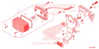 FEU ARRIERE pour Honda RUCKUS 50 de 2019