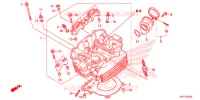 CULASSE pour Honda XR 250 TORNADO de 2021