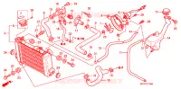 RADIATEUR  pour Honda CBR 125 de 2005
