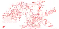 CULASSE pour Honda PIONEER 700 M4 DELUXE de 2021