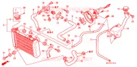 RADIATEUR  pour Honda CBR 125 ROUGE de 2009
