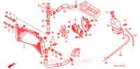 RADIATEUR pour Honda CBR 600 34HP de 1997